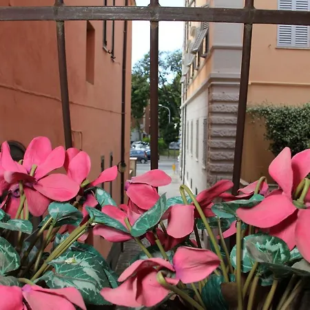 Pensjonat Gemini E Grosseto